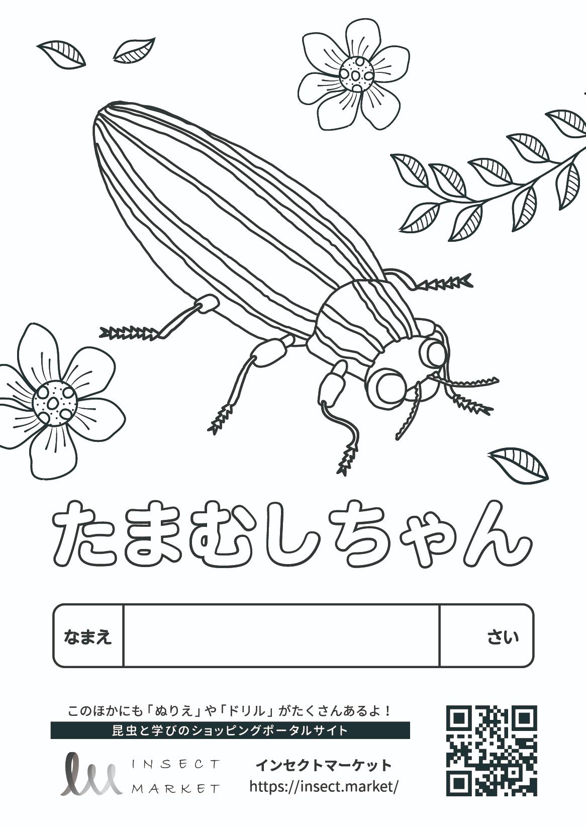 たまむしちゃん Insect Market 昆虫と学びのポータルサイト インセクトマーケット