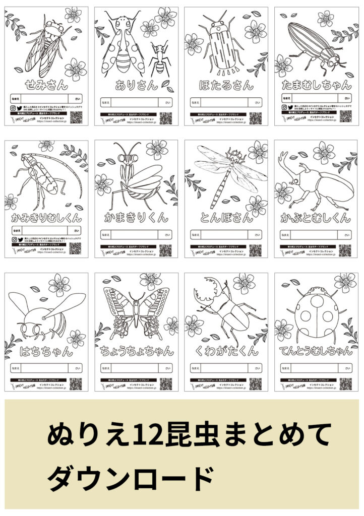 昆虫12種 無料ぬりえ - INSECT MARKET| 香川照之プロデュース昆虫と学びのポータルサイト「インセクトマーケット」