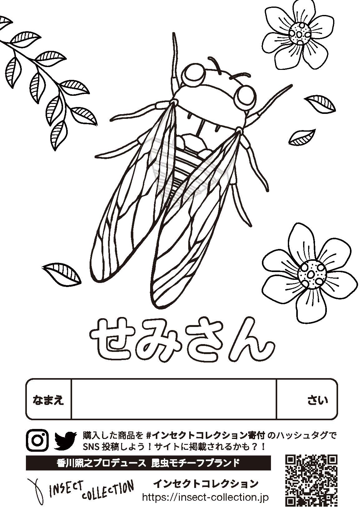 せみさん Insect Market 香川照之プロデュース昆虫と学びのポータルサイト インセクトマーケット