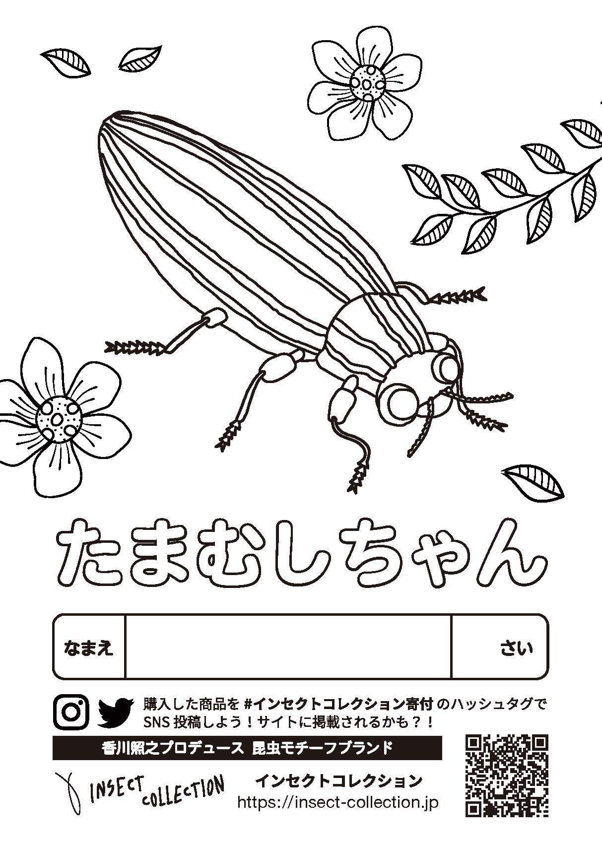 たまむしちゃん Insect Market 香川照之プロデュース昆虫と学びのポータルサイト インセクトマーケット