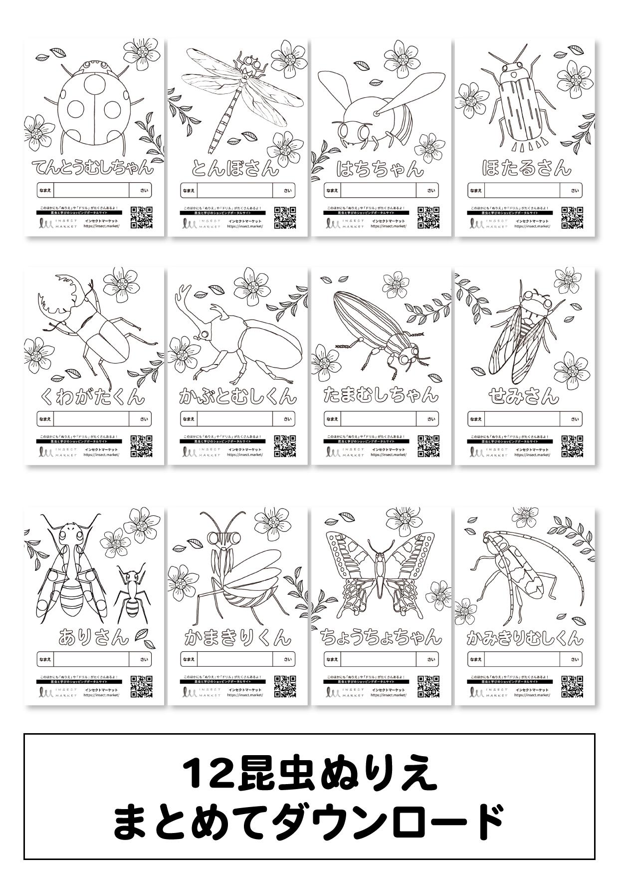 昆虫12種 無料ぬりえ
