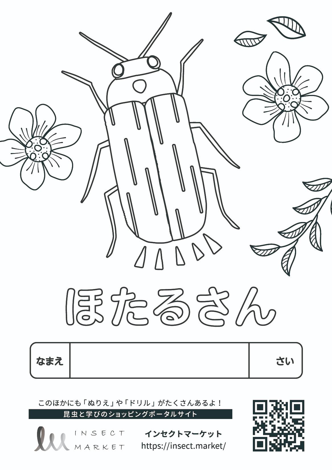 ほたるさん - INSECT MARKET| 昆虫と学びのポータルサイト「インセクト