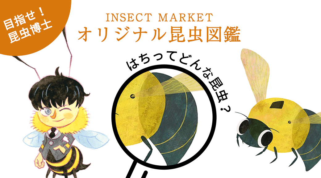 はち Bee Insect Market 香川照之プロデュース昆虫と学びのポータルサイト インセクトマーケット