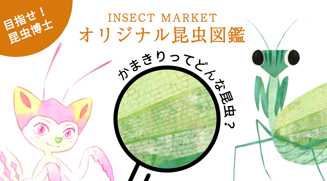 オリジナル昆虫図鑑 Insect Market 香川照之プロデュース昆虫と学びのポータルサイト インセクトマーケット