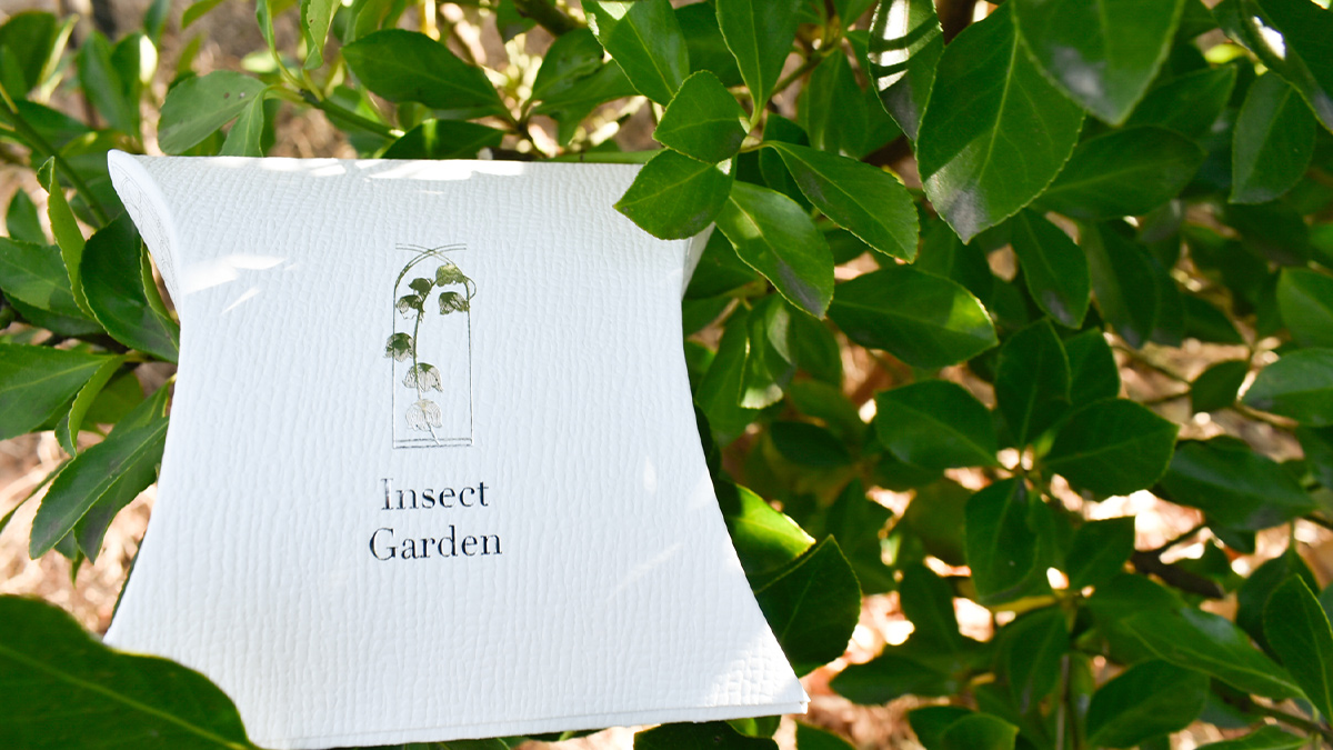 もらって嬉しい感情と罪悪感のトレードオフを解消するinsect Gardenのエシカルボックス Insect Market 香川照之プロデュース昆虫と学びのポータルサイト インセクトマーケット